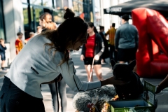 1_dsc02069_55569779767_o